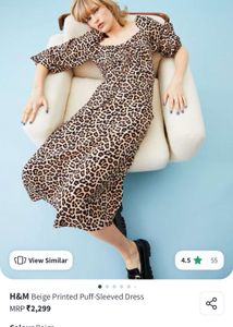 H&M Leopard Print Dress