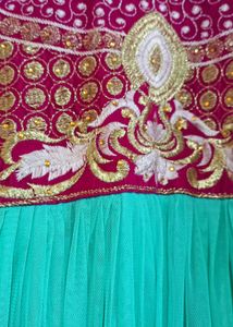 Elegant Ethnic Dress