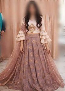 Elegant Lehenga Choli Set