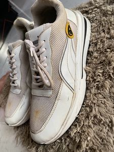 Puma Shoes For Men