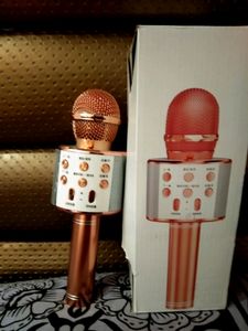 Electronic Wireless Singing Mike