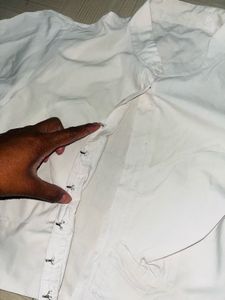 Elegant White Cropped Blouse