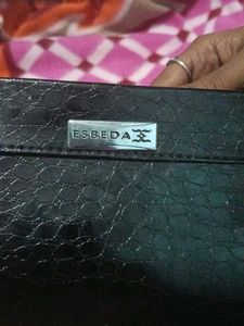 Elegant Danube Clutch