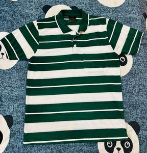 Striped Green Polo Shirt
