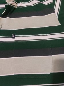 Collar T Shirt With Multi Colour  Stripes