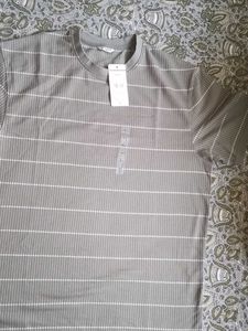 Men Invertee Thin Striped Regular Fit Crew Neck T-