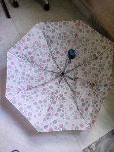 Cute Polka Dot Umbrella