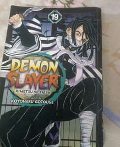Demon Slayer Vol. 19