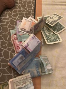 Mixed Currency Collection (20 note)