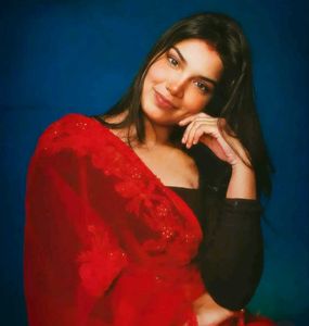 Red Embroidered Net Saree