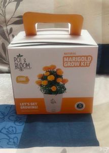 Beautiful Marigold Grow Kit