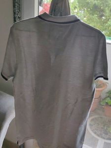 Max Tshirt For Men