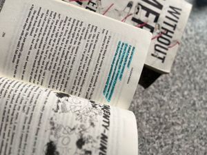 Colleen Hoover Books: Heart Bones &amp; Without Merit