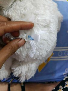Angel Bear Brand New