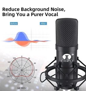BM 800 Professional Condenser Microphone