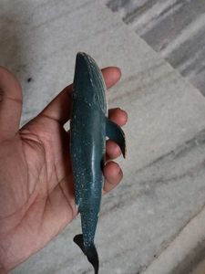 Sea Animals Imported High Quality Big Size