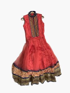 Elegant Indian Anarkali Dress