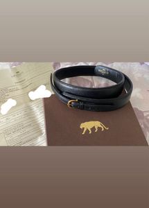 Original SabyaSachi Belt