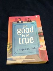 Too Good to Be True Novel