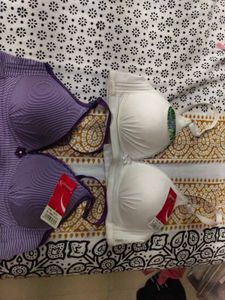 Combo Of 2 Padded Important Bra