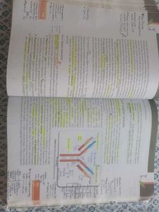 NCERT Class 12 Biology (COVERED)