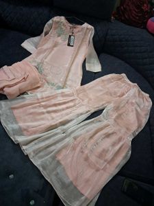 Elegant Embroidered Kurta Set