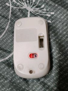 Mouse Wireless