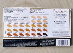 Too Face Born This Way Concealer Shade Card Sample