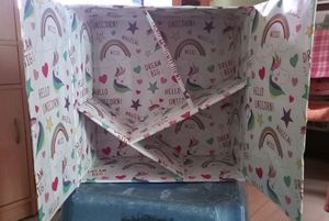 Storage Organizer