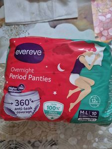 Evereve Overnight Period Panties