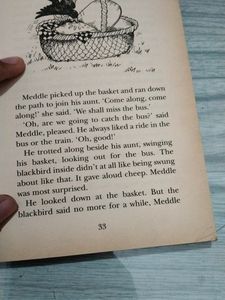 Happy Day Mister Meddle's Muddles