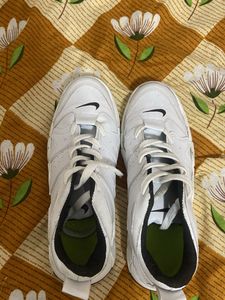 shoe (Coins Not Acceptable)