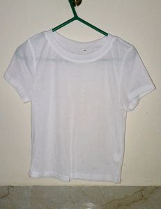 Sheer Crop Top