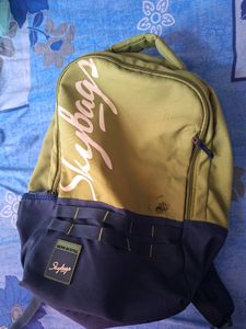 Skybags Backpack