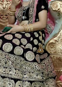 Gorgeous Embroidered Lehenga
