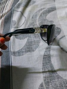 Eva Italy Ladies Sunglass