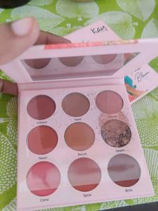 Combo Of 8 Branded Eyeshadows, Brown Kit, Blush,