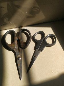 Small Cute Aesthetic Scissors ✂️