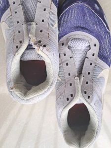 Nike Pegasus 30 Sport Shoes