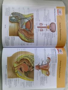 MTG Objective NCERT at your FINGERTIPS Biology