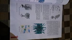 Class 9 NCERT Science Textbook