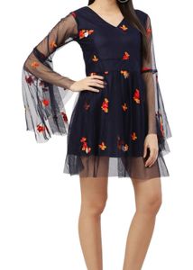 Floral Embroidered Tulle Mini Dress