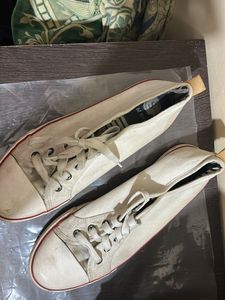 White Canvas Shoe