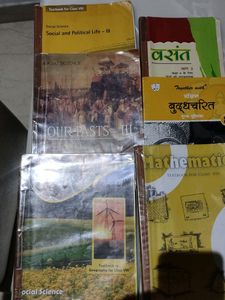 13 Books Class 8th
