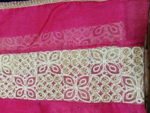 Elegant Netted Type Emblished Saree