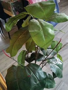Artificial Plant with big leaves - 42 inches