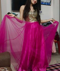 Elegant Ethnic Gown
