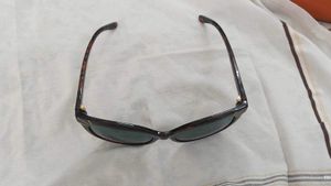 Brand New Original  Tory Burch Sunglasses