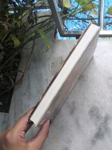 Bengali Novel Book