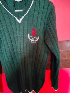 Green Colour Sports Sweater